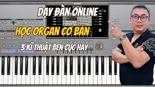 Live Học Đàn Online Học Organ Nhập Môn KT 29102024 [upl. by Pazice933]