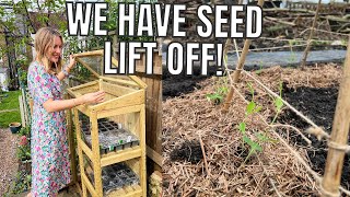 WE HAVE SEED LIFT OFF  ALLOTMENT GARDENING FOR BEGINNERS [upl. by Styles56]