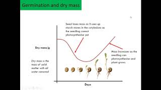 Germination flipped learning iGCSE [upl. by Alyworth]