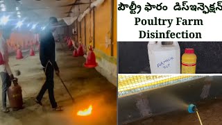 Poultry Farm Disinfection JabbarPoultryFarm PoultryFarmDisinfection Broilerdisinfection Poultry [upl. by Dickie21]