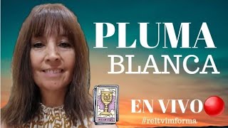 ENTREVISTA A PLUMA BLANCA  EN VIVO🎙🔴 [upl. by Nahtnhoj]