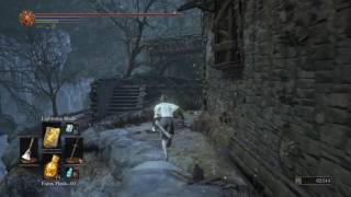 Dark Souls 3 Ashes of Ariandel  Way of White Corona Location [upl. by Ehrman476]