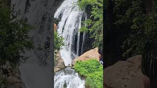 Chunchi Falls  Less than 100 kms from Bangalore chunchifalls bengaluru bangalore shorts falls [upl. by Yelekreb]