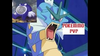 Gyarados DOOKIES on everyone  POKEMMO PVP [upl. by Enitsirhc]