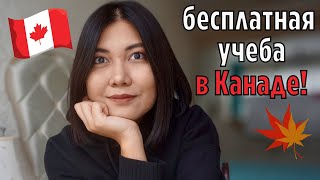 Учеба в Канаде 🇨🇦 5 причин обучаться в Канаде система образования требования и бесплатные ресурсы [upl. by Gawlas]