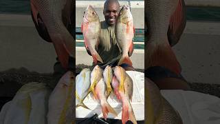 2023 Florida Keys Bridge Fishing RECAP [upl. by Hajin]