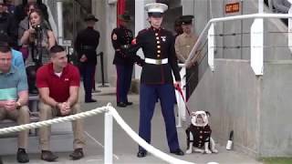 USMC Parris Island Graduation March 8 2019 [upl. by Hcone]