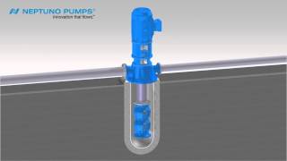 Neptuno Pumps® Vertical Can Type Pump [upl. by Caesar]