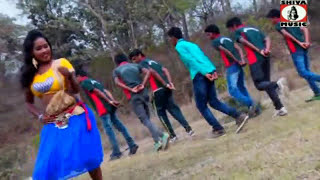 Purulia Song 2022  Jhule Jhule Ache  Biswanath amp Anita Das  Superhit  Manbhum Bangla Song [upl. by Lashar762]