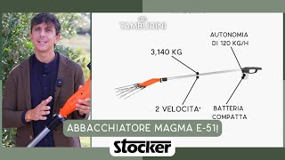 NUOVO ABBACCHIATORE MAGMA E51 STOCKER GARDEN PER LA RACCOLTA DELLE OLIVE 2024 [upl. by Odlabu]