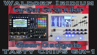 Great Granular Gear Gadgets  Waldorf Iridium vs Tasty Chips GR1 [upl. by Ciredec]