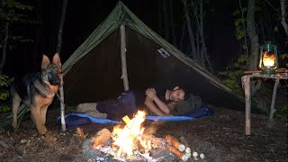 Bushcraft Trip  Solo Camping with my Dog in the Forest  Table Making and Delicious Foods [upl. by Cynthea]