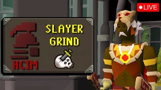 HCIM  Slayer Grind  WGS DONE 🔴Livestream [upl. by Ahsote]