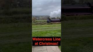 The Watercress Railway Line at Christmas is TRULY STUNNING [upl. by Annas296]