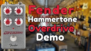 Is The Fender Hammertone Overdrive Versatile [upl. by Poyssick]