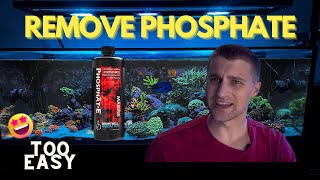 Brightwell PhosphateE to Remove Phosphates in a Reef Tank [upl. by Ytissahc]