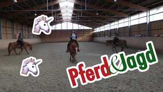 NEWS  Pferd amp Jagd und reiten mit Kandare  Serenity Horses [upl. by Atselec]