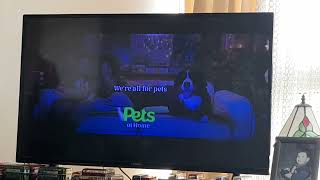 Vets For Pets Dog Fart in the end of this Advert [upl. by Yancy741]