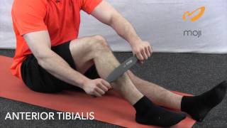 The Moji Minute  How to Massage Your Shin Splints [upl. by Ditzel225]