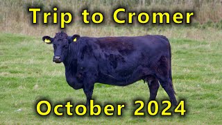 Visit to Cromer October 2024 [upl. by Ecreip]