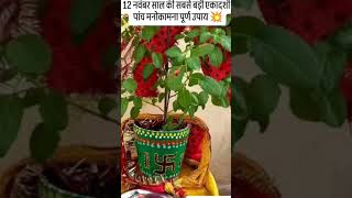 12 November ko sabse badi ekadashi ytshort astrology [upl. by Hsemar983]