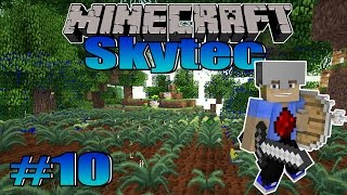 Diamantenpflanze Witherköpfe Minecraft SKYTEC  Folge 10 [upl. by Adelind]