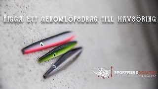 Rigga ett genomlöpsdrag till havsöring [upl. by Marsden]