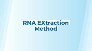 StepbyStep RNA Extraction  Protocol  Phenol Chloroform Extraction Method [upl. by Eissak]