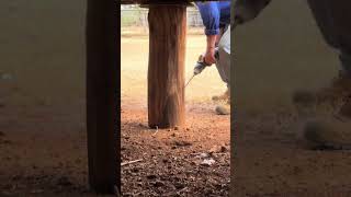 🛠️ Watching a Post Get Drilled for Termite Treatment – Drill Bit Snaps 🐜✨ [upl. by Cleveland211]