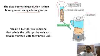 Chapter 3  Cell structure and functions  Part 1  Cell Fractionation  Sindh Text Board [upl. by Zorina]