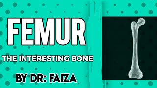 femur bone anatomy 3D attachments of femur bone Anatomywithdrfaiza [upl. by Imerej]