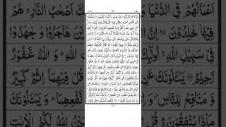 Surah Al Baqarah  Ayat 217  Quran Recitation [upl. by Deeann889]