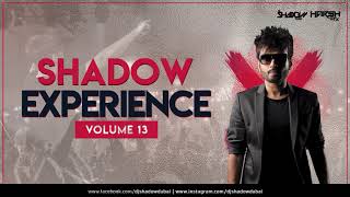 Shadow Experience Vol 13  DJ Shadow Dubai [upl. by Eibrik582]