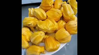 Opening a durian is like betting on ones luck Red meat jackfruit Durian lovers Soft sticky [upl. by Balough]