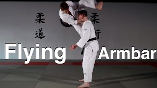 Flying Armbar [upl. by Encrata53]