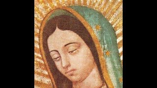 Nuestra Señora de Guadalupe El Milagro del Tepeyac México  DFI [upl. by Kassey]