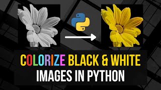 Colorize Black amp White Images in Python [upl. by Chessy370]