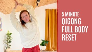 5 Minute Full Body Qigong [upl. by Finzer540]