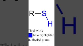 Thiol has not OH group [upl. by Cuthbertson]