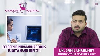 Echogenic Focus in Heart on Ultrasound What to do  Dr Sahil Chuadhry [upl. by Ij]