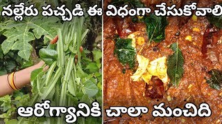 Nalleru pachadi  నల్లేరు పచ్చడి ఈ విధంగా చేసుకోవాలి  ఆరోగ్యానికి చాలా మంచిది  PNV Telugu Channel [upl. by Thebazile558]