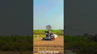 Dhan kata 🌾🌾kanhaofficialvlogs viralvideo shortvideo sambalpurivlogs 100k sambalpuri [upl. by Ibson]