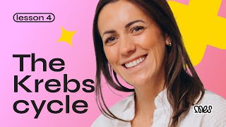 The Krebs Cycle  Lesson 4  Year 13  Free Stream [upl. by Tnecillim499]