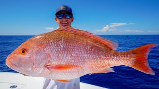 GIANT Red Snapper Grouper Tuna Catch Clean Cook Gulf of Mexico Fishing [upl. by Eibmab]