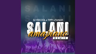 Salani Remake feat Dj Veecool amp Fanash Beats [upl. by Noitna593]