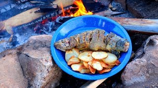 Catching amp Cooking Wild Trout Fish n’ Chips Over a Fire [upl. by Bernete]