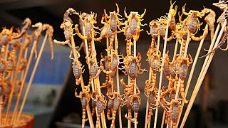 Chinese Street Food  Live Scorpions Insects Tiger Claws China [upl. by Banquer37]