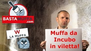 Muffe da Incubo a Milano Caso studio Villetta con analisi e applicazione [upl. by Rubens]