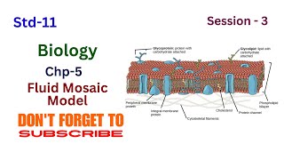 Biology Std 11 chp5 cell structure and organisation  Session3 fluidmosaicmodel fliud mosaic [upl. by Bertasi]