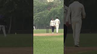 cartwheeling stumps youtubeshorts cricketlovecricket cricketleague cricketlover ipl [upl. by Sessler]